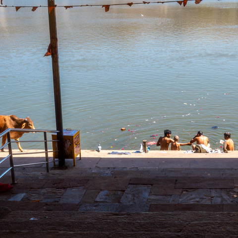 Rajasthan Desert Retreat